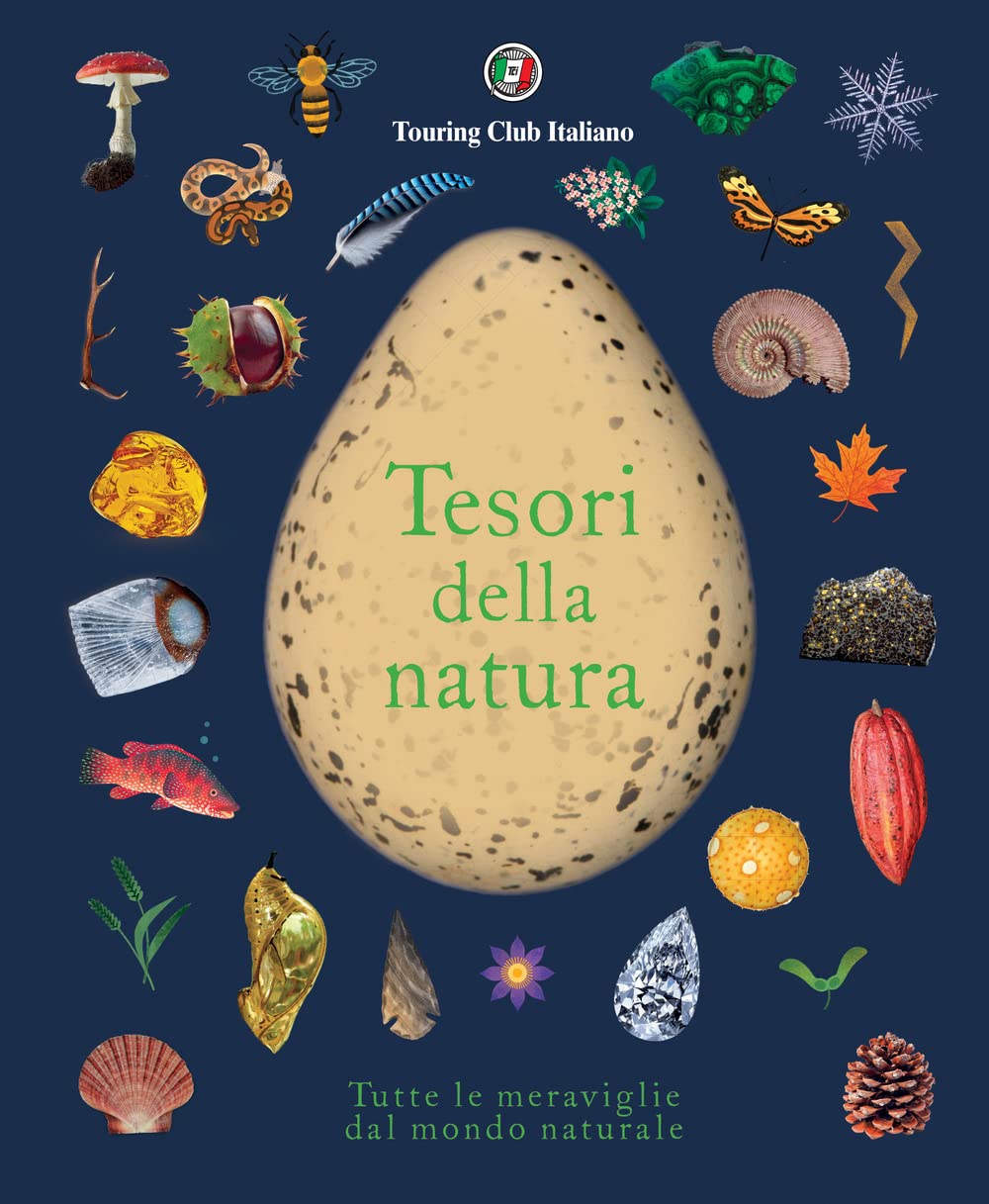 libri per bambini meraviglie