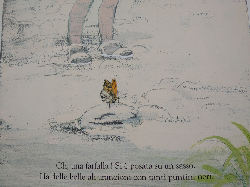 libri per bambini Nell'erba