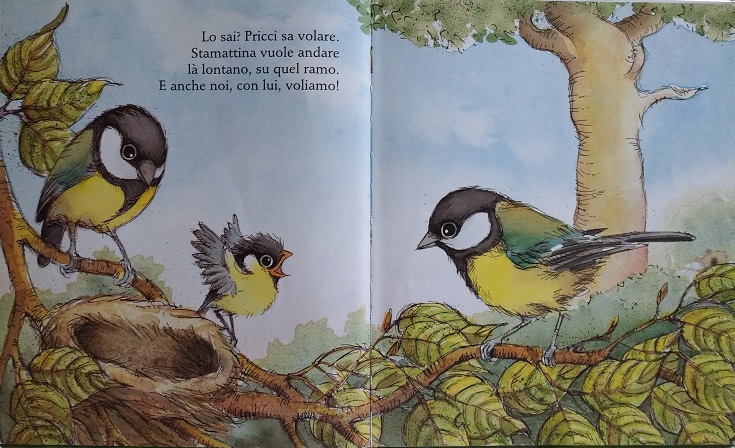 libri per bambini Pricci in volo 