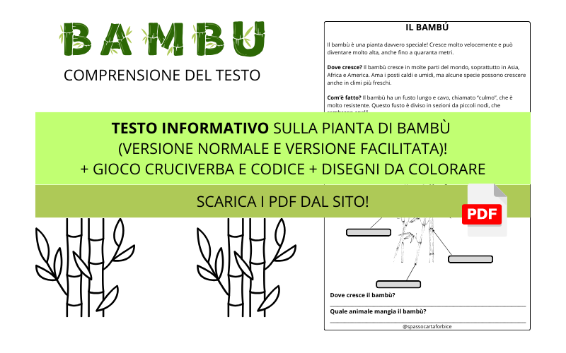 comprensione del testo bambù